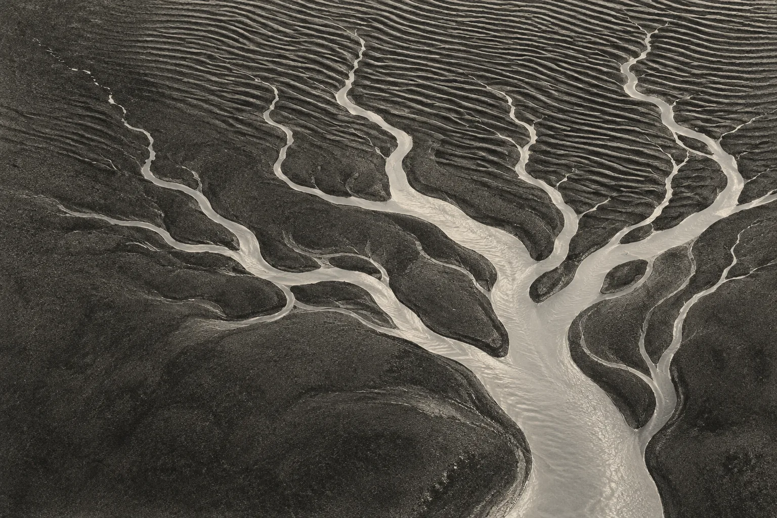 Silver channels branch through dark rippled tidal sand in a monochrome overhead print.